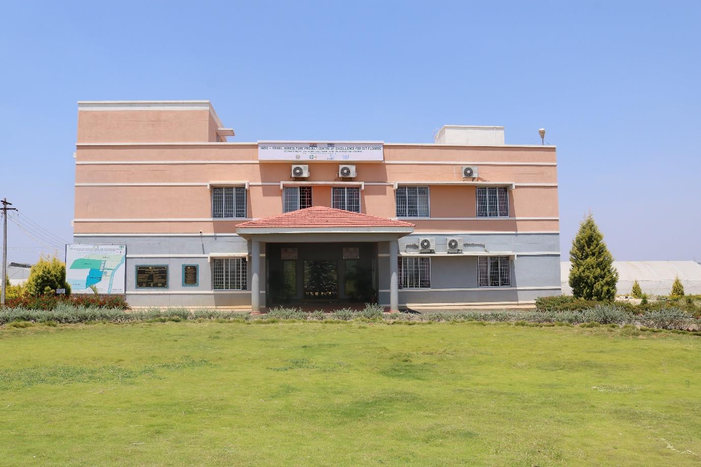 description of the image