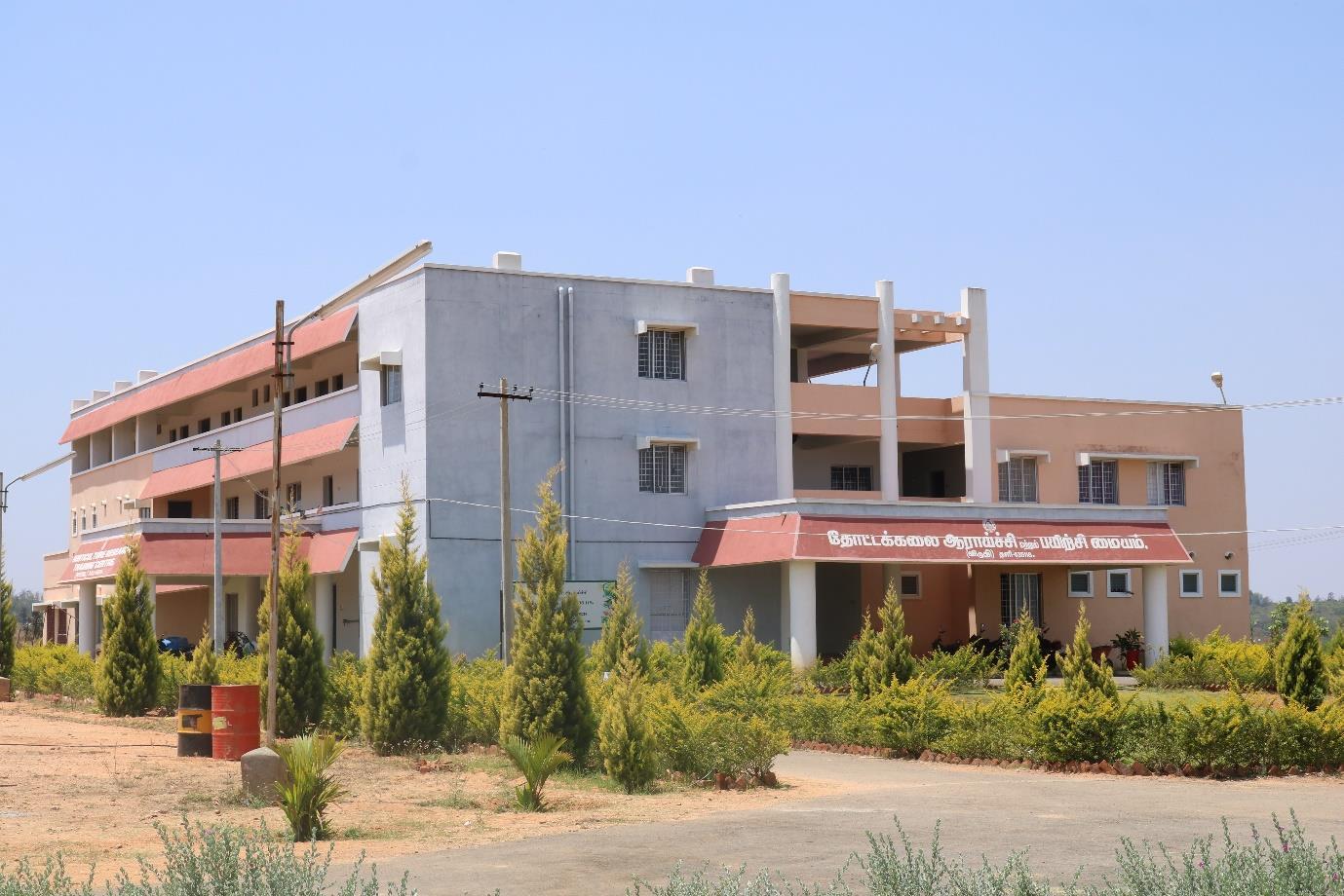 description of the image