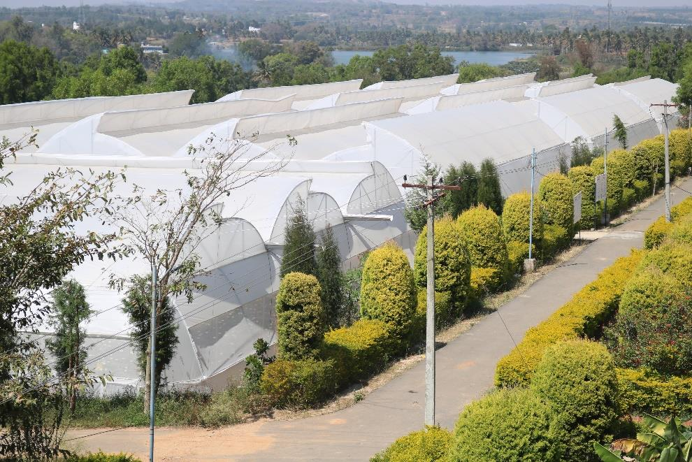 description of the image