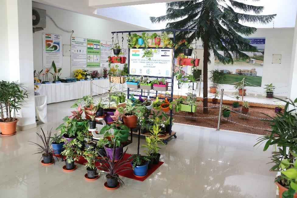 description of the image