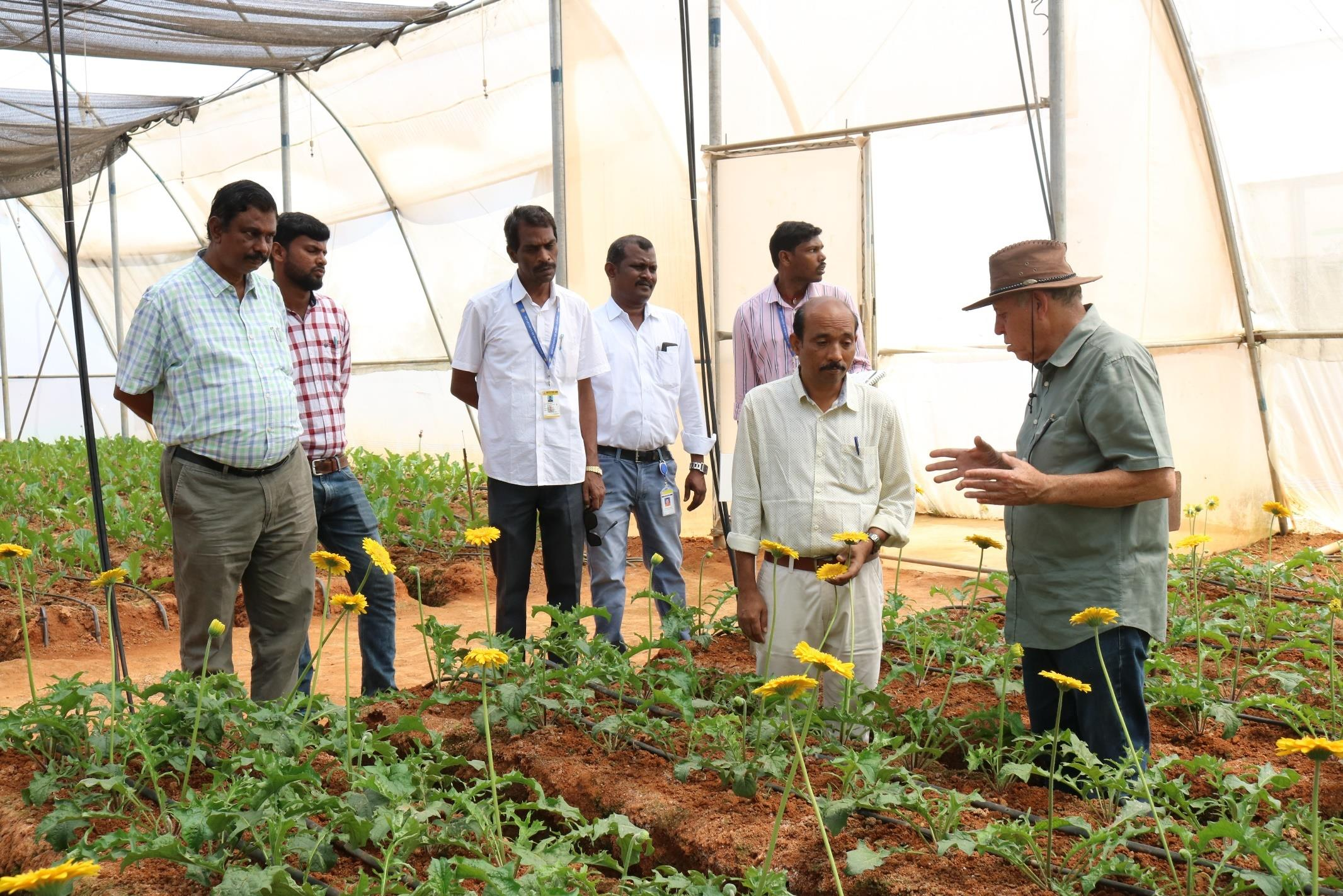 description of the image