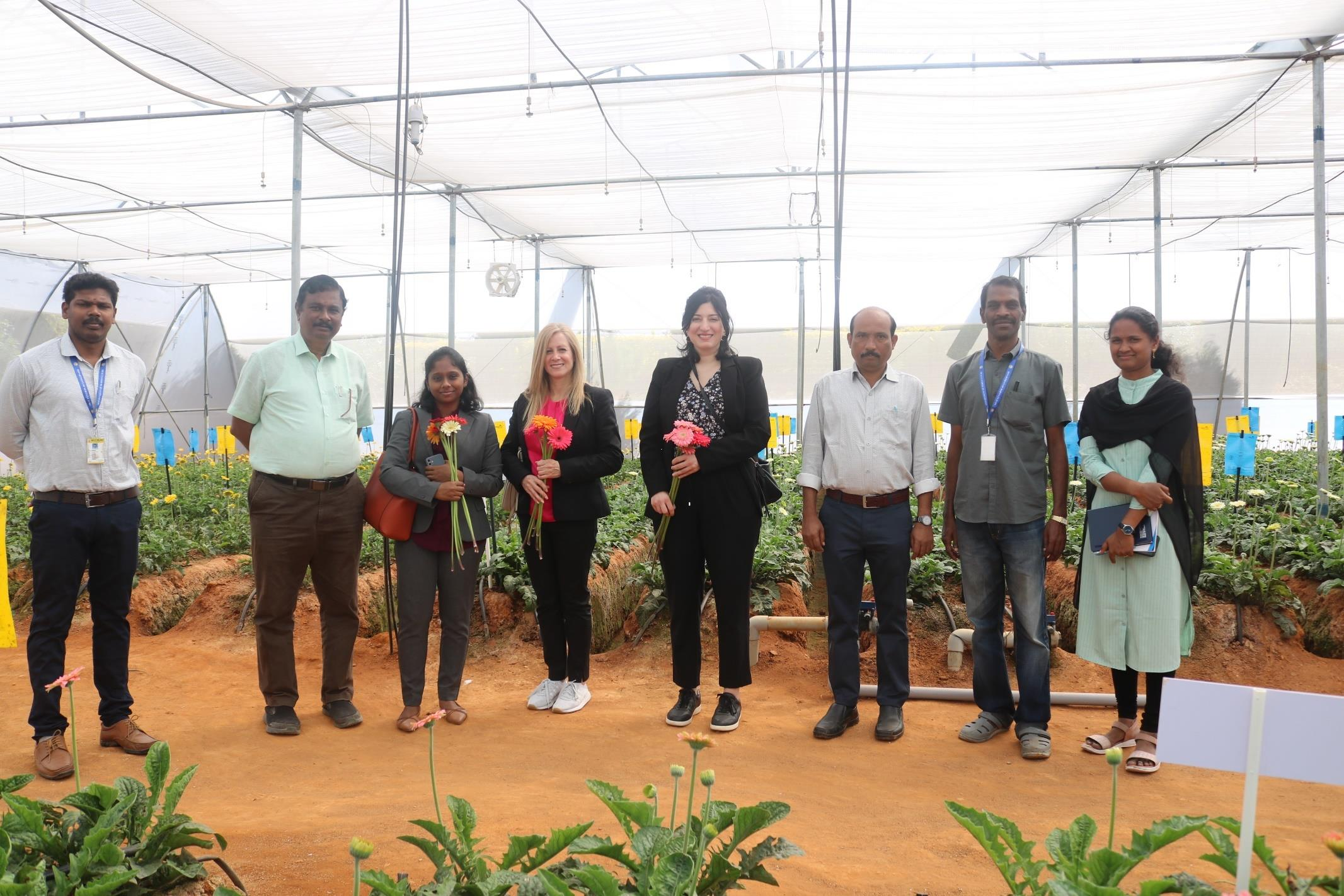 description of the image