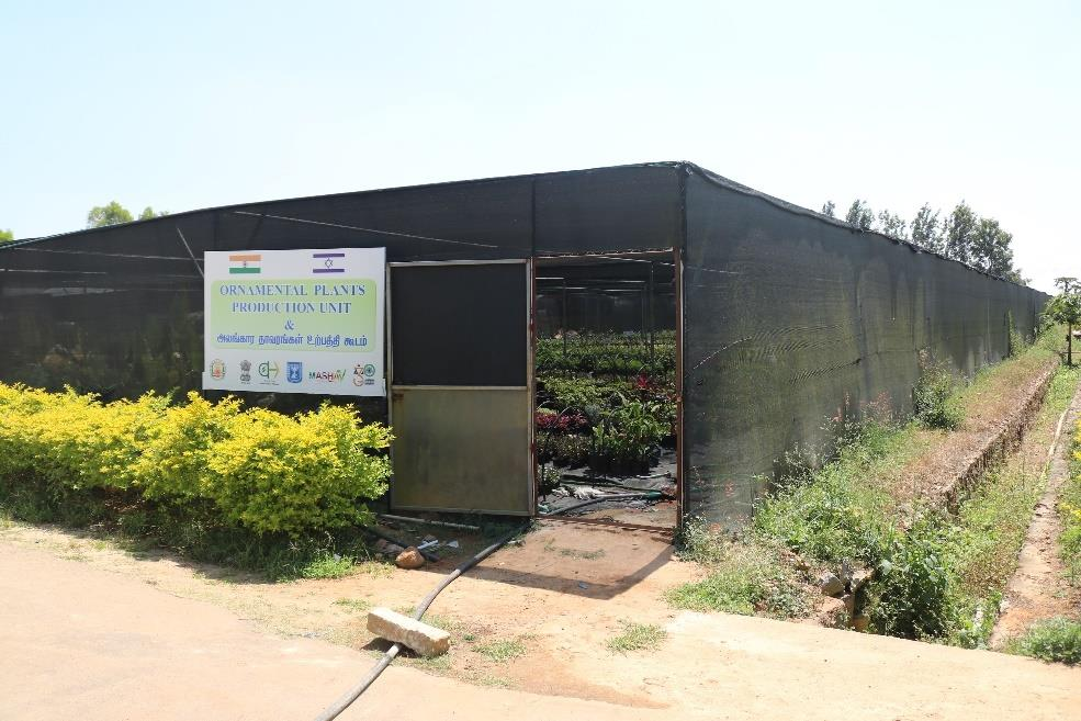 description of the image