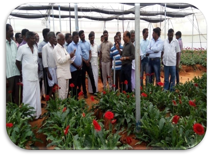 description of the image