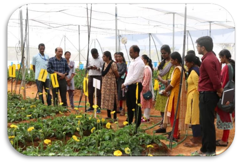 description of the image