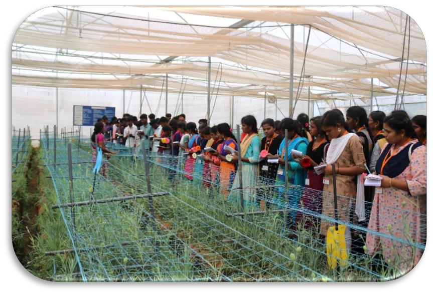 description of the image