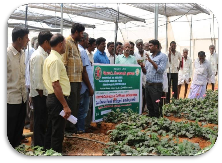 description of the image