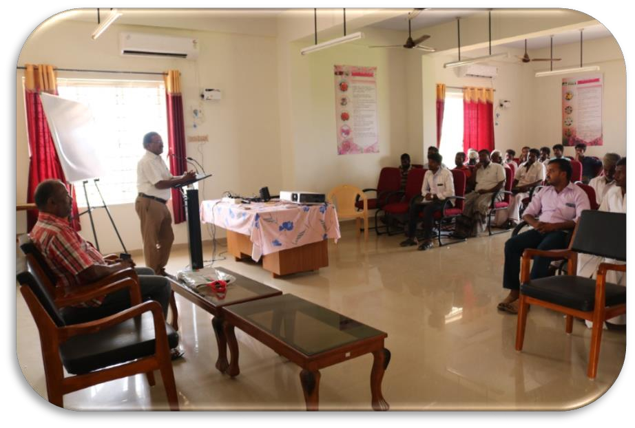 description of the image