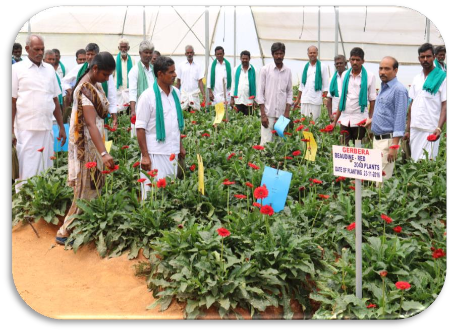 description of the image