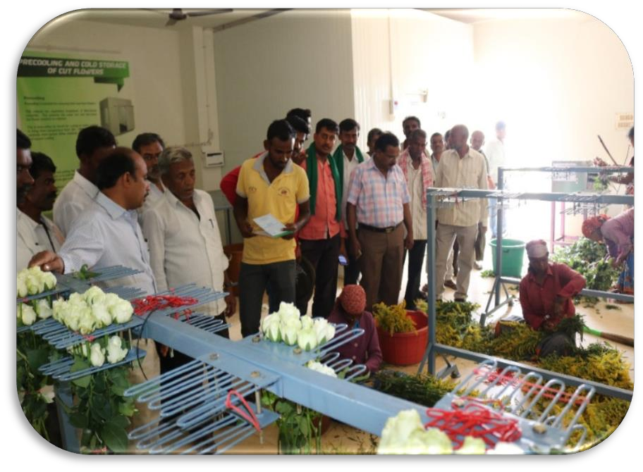 description of the image